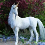 Uncovering the Magic of UnicornDelight88: A Gateway to Fantasy